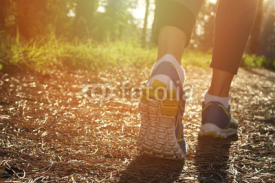 Naklejki Athlete runner feet running in nature, closeup on shoe. Woman fitness jogging, active lifestyle concept