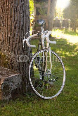 old bike in the foreground outdoors, vintage