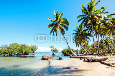 Caribbean: lonely beach :)