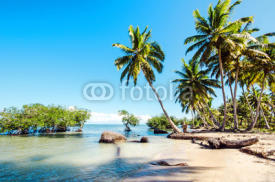 Fototapety Caribbean: lonely beach :)