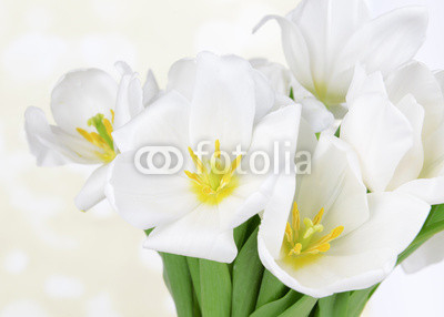 Beautiful bouquet of white tulips on table on light background