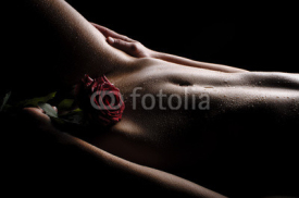 Fototapety Nackter Bauch mit Rose