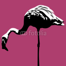 Naklejki Flamingo