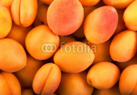 Fototapety apricot