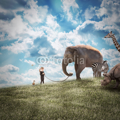 Girl Walking Elephant and Animals in Nature