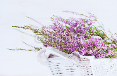 Heather in the basket