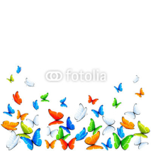 Naklejki Butterflies on white background