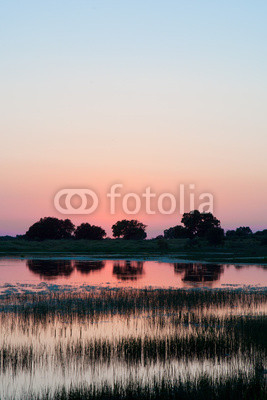 Sunset or sunrise at a lake, with trees and grass reflection