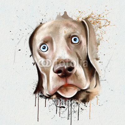 portrait dog closeup on a white background, with elements of the sketch and spray paint