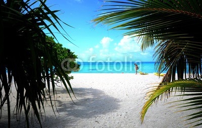 Plage de sable blanc et cocotiers lagon bleu Tikehau archipel Tuamotu Polynésie française