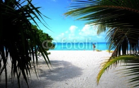 Fototapety Plage de sable blanc et cocotiers lagon bleu Tikehau archipel Tuamotu Polynésie française
