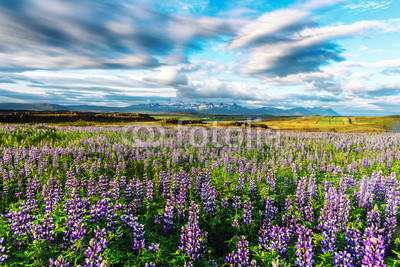 Typical Iceland landscape