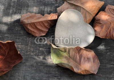 cœur en carton parmi feuilles mortes sur bois 