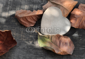 Fototapety cœur en carton parmi feuilles mortes sur bois 