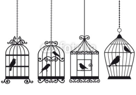 Naklejki vintage birdcages with birds