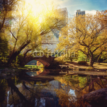 Naklejki Central Park pond and bridge. New York, USA.