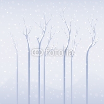 Fototapety Dried trees in the winter with heavy snow