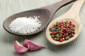 Fototapety salt, mix of peppercorns and garlic