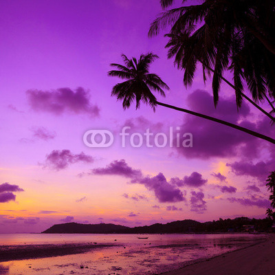 Tropical beach with palm trees at sunset, Thailand