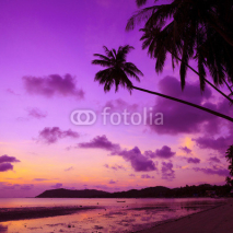 Fototapety Tropical beach with palm trees at sunset, Thailand