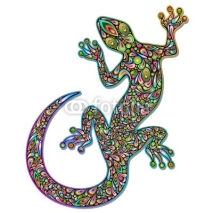 Fototapety Gecko Geko Lizard Psychedelic Art Design-Geco Psichedelico
