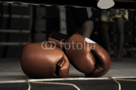Obrazy i plakaty Boxing Glove Vintage