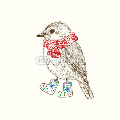 Pen and ink illustration of bird in scarf