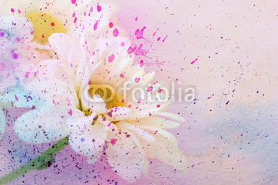chamomile's flower and watercolor splatter