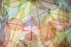 Obrazy i plakaty Abstract autumn background
