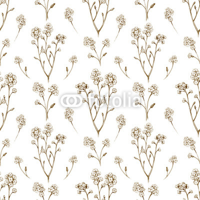 Forget me not flower drawings. Seamless pattern