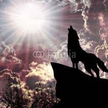 Fototapety wolf in silhouette howling to the full moon