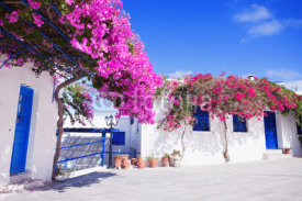 Traditional greek house with flowers in Paros island, Greece. Blue door and blue window surrounded by magenta flowers.