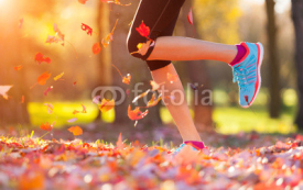 Naklejki Close up of feet of a runner running in leaves