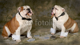 Fototapety poker game