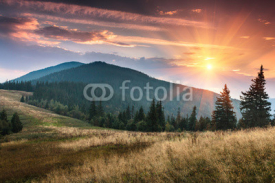 Fototapety Sunrise above peaks of smoky mountain with the view of forest in the foreground. Dramatic overcast sky. 