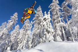 Fototapety foresta ghiacciata con snowboarder in volo