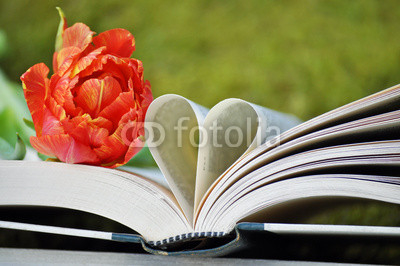 Buch mit Tulpe