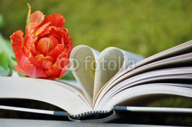 Naklejki Buch mit Tulpe