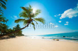 Naklejki Tropical beach