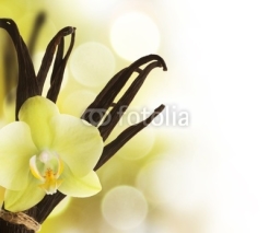 Naklejki Beautiful Vanilla beans and flower over blurred background