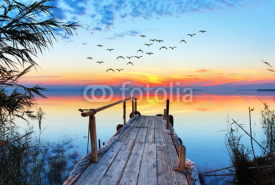 Obrazy i plakaty paisaje natural de un lago