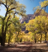 Fototapety Zion National Park, Utah