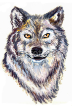 Naklejki oil painting wolf head