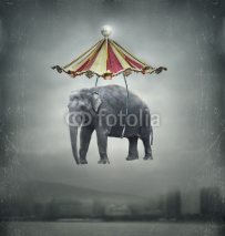 Naklejki Fantasy elephant