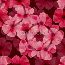 Fototapety Floral seamless background