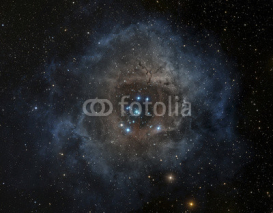 Naklejki Rosette nebula in the constellation of Unicorn