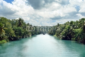 Naklejki Tropical Jungle River