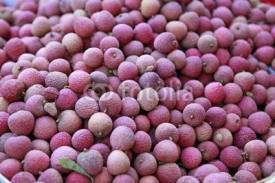 Fototapety whole lychees