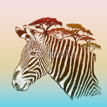 Naklejki Evening savanna zebra