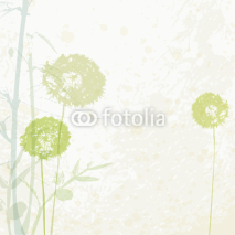 Fototapety dandelion